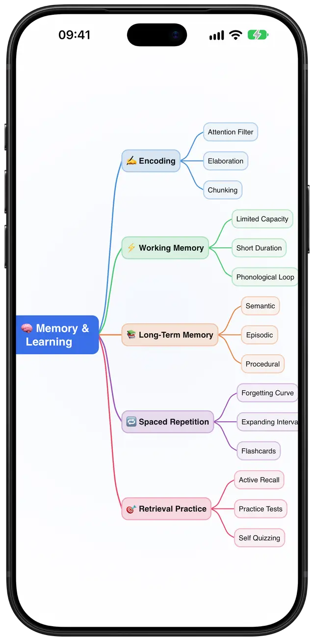 The same memory and learning mind map in Converge’s Default theme.