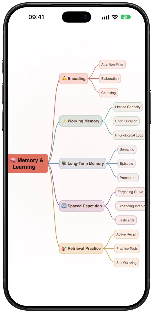 The same memory and learning mind map in Converge’s Soft Pastel theme.