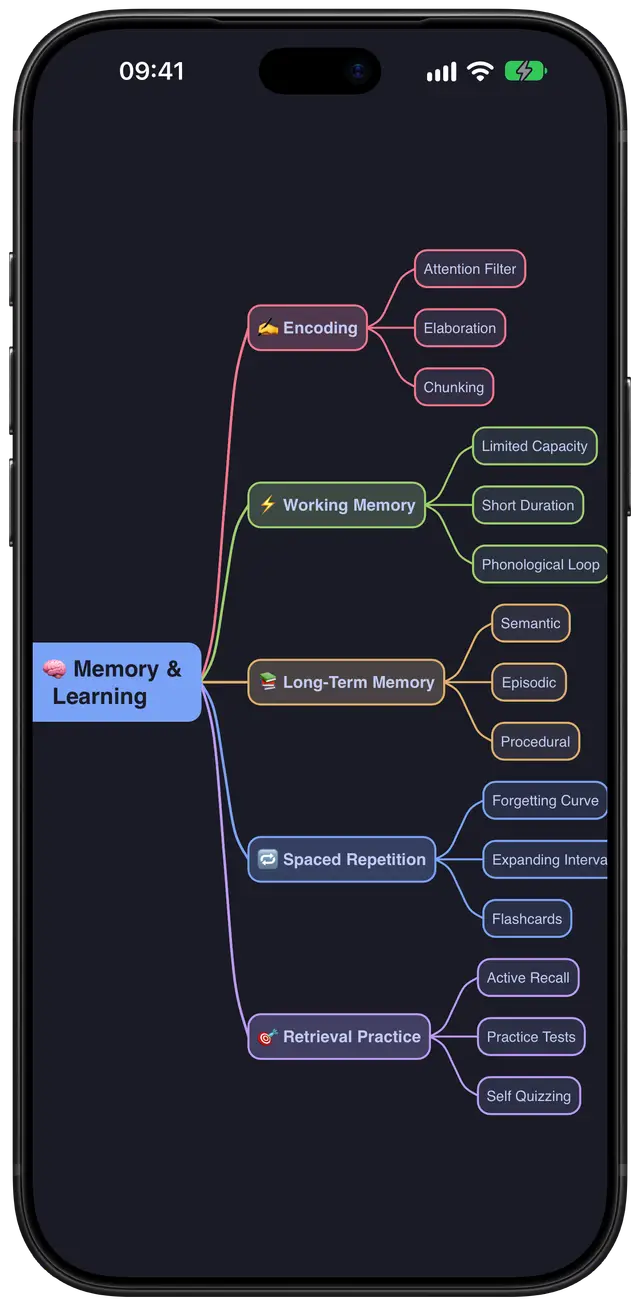 The same memory and learning mind map in Converge’s Tokyo Night theme.